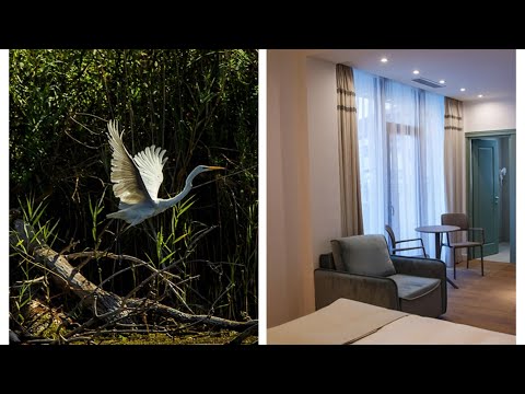 Cum arată o cazare de 4 stele în Delta Dunării *New Egreta Resort