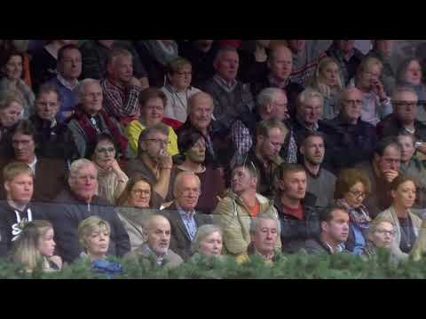 Fürst Jazz Hengstkollektion Englisch 2019