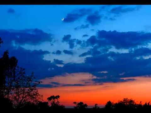 Ljubica Berak - Danica je karala mjeseca