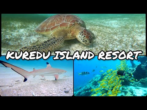 KUREDU RESORT | MALDIVES | GOPRO | SNORKELING