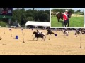The Mounted Games