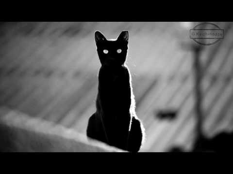 Qodës - Big Book (Orignal Mix)