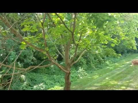 The Ponds at Georgetown - Two-Bedroom Apartment Tour