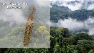 Download lagu Sape Borneo Instrument || Traditional Music of the Kalimantan Tribe | The Songs mp3
