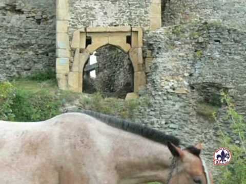 Cercetasi Arad - Prezentare Camp Balul Scout 3