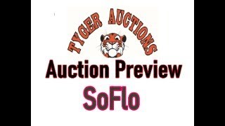 Auction Review for bidsoflo.us or Soflo,  Cincinnati, June 9th 2025