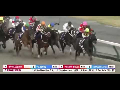 🇯🇵 THE CHAMPIONS CUP(G1) WINNER Jun Light Bolt (JPN) 🏆