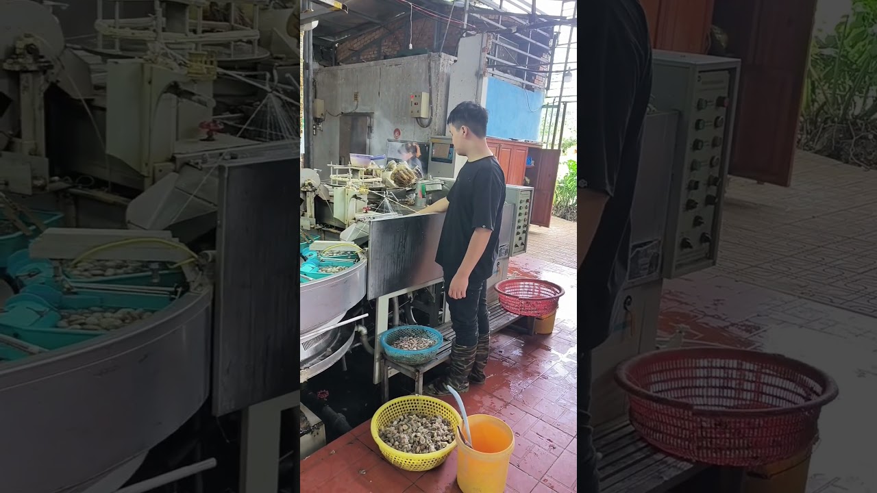 YouTube Short thumbnail