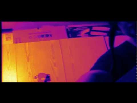 Kellerassel mit Mänchen, am 14.02.2011in meinem Keller !!!