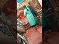 Thillai Kaali Amman Temple Shorts Thillai Amman God