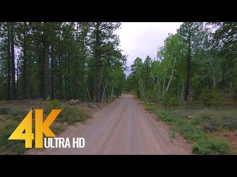 4K Scenic Drive - Hell's Backbone Road, Utah - 2 HRS Road Drive with Relaxing Music