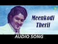 Meenkodi Theril Audio Song Karumbu Vill Sudhalkar Subhashini Ilaiyaraaja