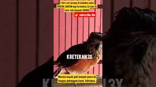 Download lagu 1 Ciri-ciri wajib ketahui yaitu TROTOL JANTAN dgn kretekan 2x dan 3x begini rata-rata banyak JUARA‼️ mp3