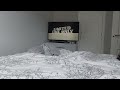 Opening Ratatouille UK DVD 2008