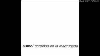 BANDERITAS Y GLOBOS-SUMO