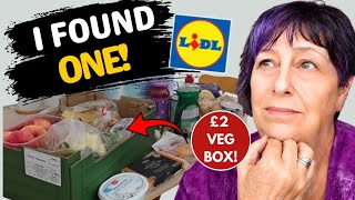 I Went Looking for Lidl's Cheap Veg Box... Here's What I Found