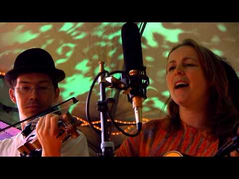 Blackberry Bushes Stringband 2014-07-20 Hickory Is Dependable