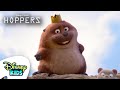 King George Rules Hoppers Disneykids