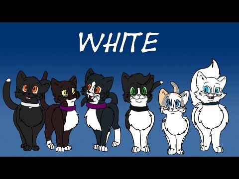 Cat Colour Genetics: Pt 2 - White