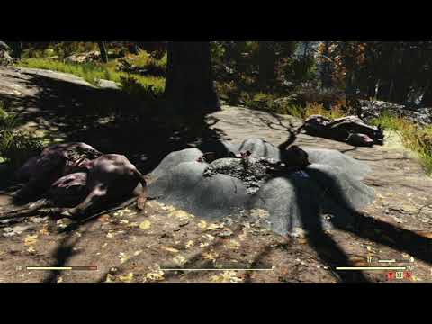 The Forest Region Object Random Encounter Hotspot #07 - Fallout 76