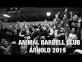 ANIMAL BARBELL CLUB: ARNOLD 2019