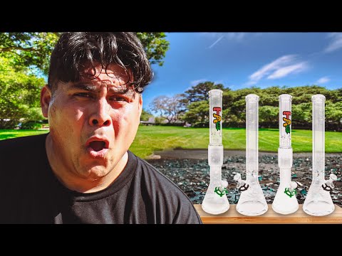 The Strongest B**g In The World???