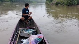 Download lagu mancing ikan baung dan ikan patin di sungai Malinau #merawai mp3