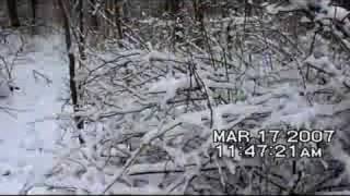 preview picture of video 'Skyview's FireWalker Snow Trial March 17th. 2007'