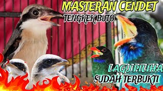 Download lagu MASTERAN CENDET FULL TEMBAKAN TENGKEK BUTO PANJANG mp3 Download lagu MASTERAN CENDET FULL TEMBAKAN TENGKEK BUTO PANJANG mp3