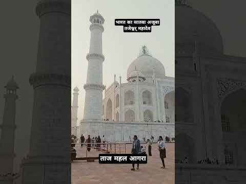 भारत का सातवा अजुबा ताजेश्वर् महादेव ताजमहल #tajmahal #trending #shorts #viral #travel #agra #india