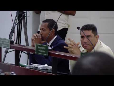 Faber Criticizes Shyne Barrow's Leadership, Comparing It to Dictatorship PT 1