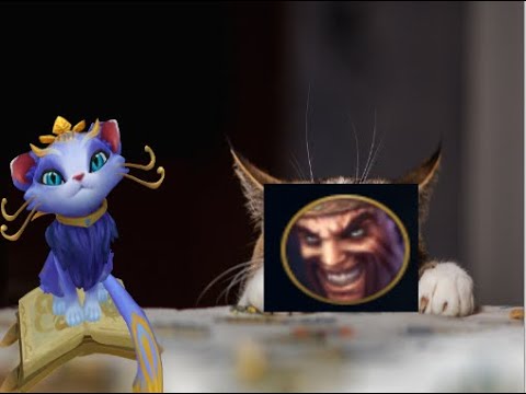 DRAVEN ONE  AUTO ONE KILL