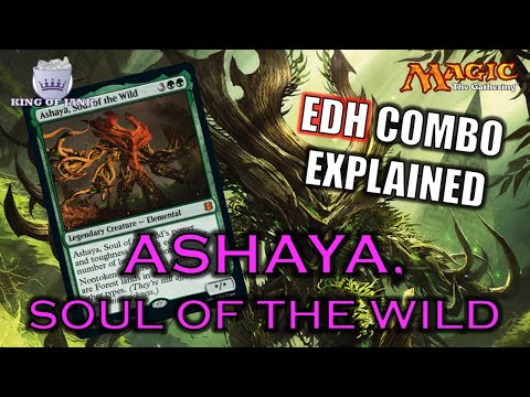 Combo Breakdown: Ashaya, Soul of the Wild | Zendikar Rising Combo Explained | MTG EDH Landfall Combo