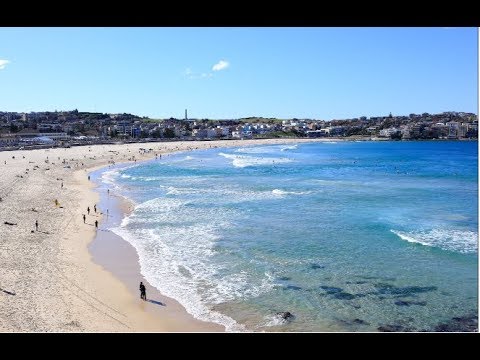 Sydney Bus Vlog: Cronulla to Central Time Lapse | Beaux Petits Enfants
