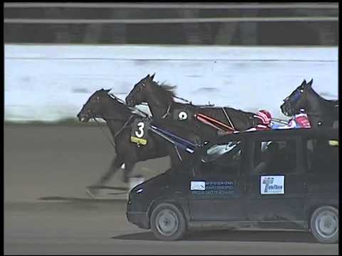 Trotto 16/11/2014 - 8° corsa