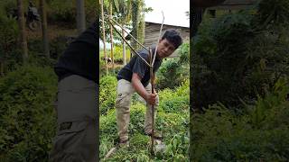 Download lagu MIKAT BURUNG DI RUMAH ANGKER TERBENGKALAI DI DALAM HUTAN, MIKAT BURCIL DAPAT SIRTU, CIPOW mp3