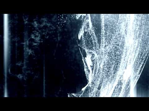 POLARIS & KRZYSZTOF HORN "COLLISION" - trailer