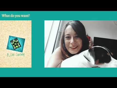 B_Life Coaching and The Turtle Theory