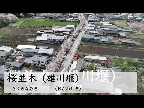 春の観光スポット（群馬県甘楽町）
