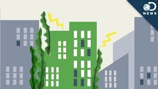This Building Is Completely Powered By Algae