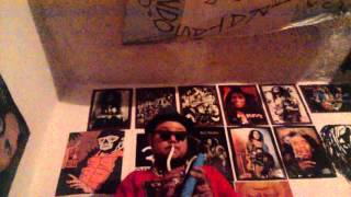 tintin deo melodica cover the slackers yeyo marley