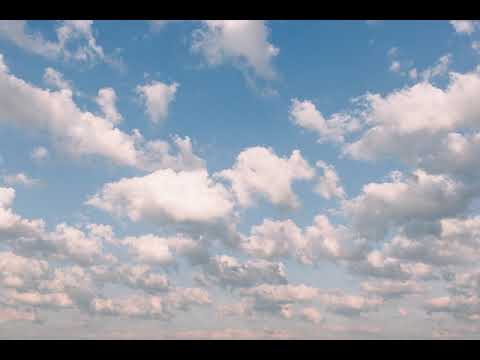 Francesco DAndrea  -   With Some Malice