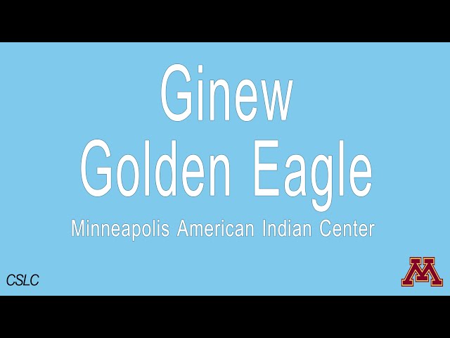 Video Pronunciation of Ginew in English