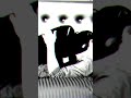 Porn Romance Romantic Hd Video FilmyRomance
