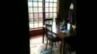 Steve Holy At Home- Crow Problem