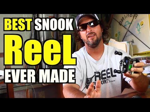 Captain Jeff Declares the Shimano Bantam 50 the GREATEST Snook Reel Ever! 🎣🔥"