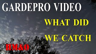 GardePro Trail Camera, What did we catch on video