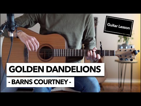Golden Dandelions - Barns Courtney