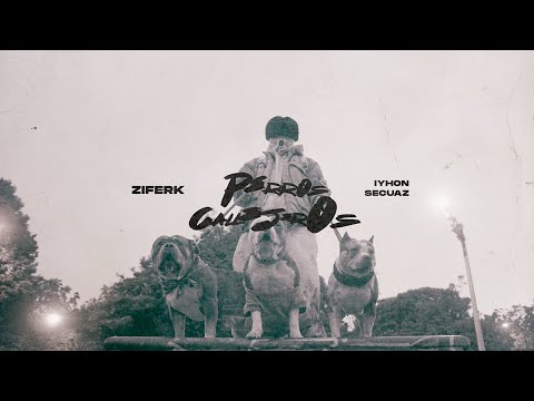 Ziferk, Iyhon Secuaz - Perros Callejeros (Official Video)