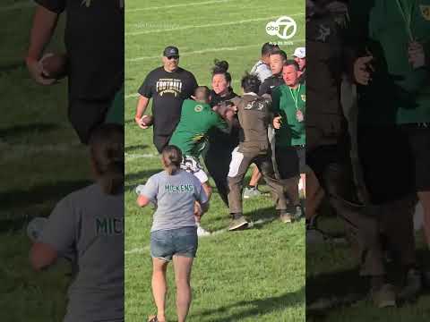 Coaches suspended after brawl during youth football game